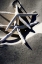 Picture of SEA STARS I
