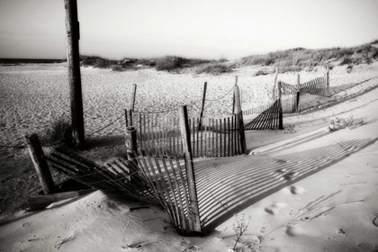 Picture of DUNES FENCE I