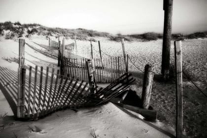 Picture of DUNES FENCE II
