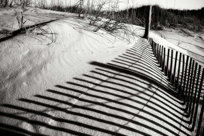 Picture of DUNES FENCE III