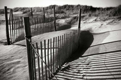 Picture of DUNES FENCE IV