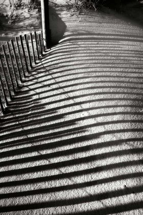 Picture of DUNES FENCE V