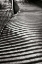 Picture of DUNES FENCE V