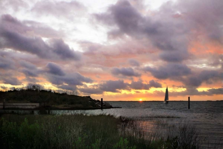 Picture of EAST BAY SUNRISE I