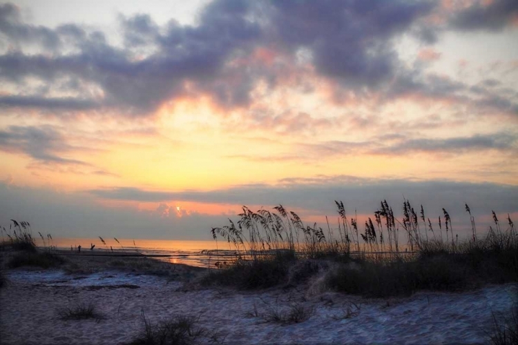 Picture of MASONBORO INLET I