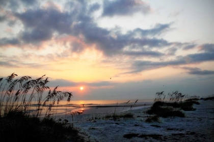 Picture of MASONBORO INLET II