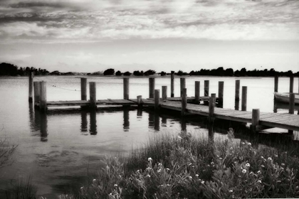 Picture of LONELY DOCK I