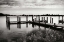 Picture of LONELY DOCK I