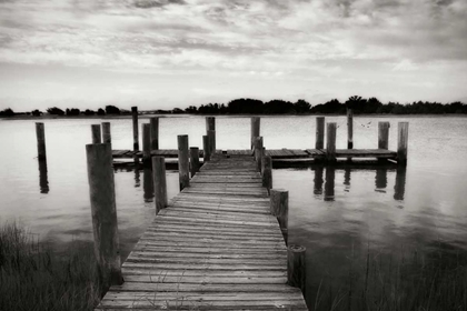 Picture of LONELY DOCK II