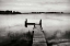 Picture of LONELY DOCK III