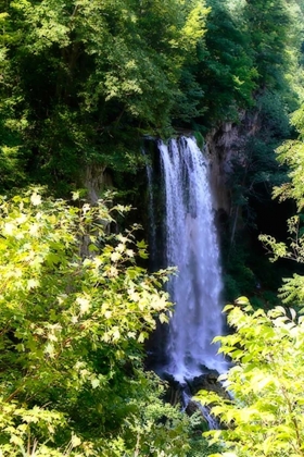 Picture of FALLING SPRINGS II
