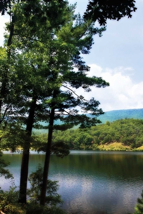 Picture of DOUTHAT LAKE IV