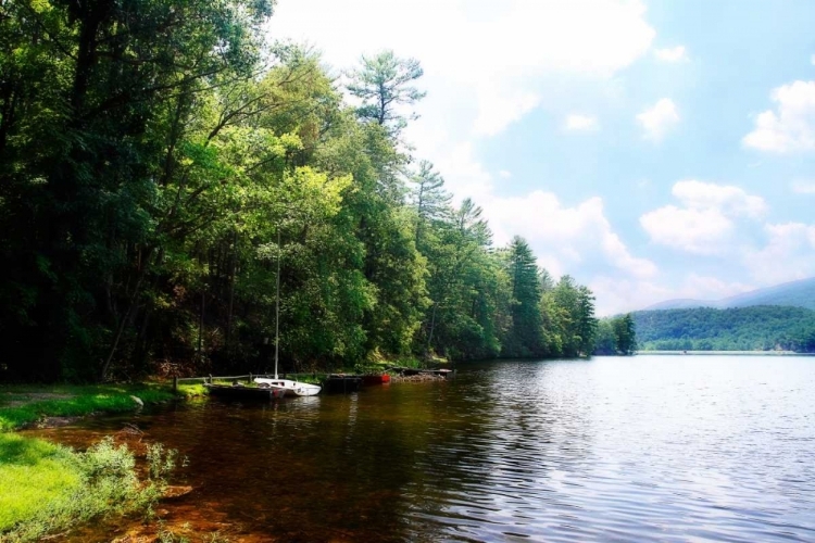 Picture of DOUTHAT LAKE V