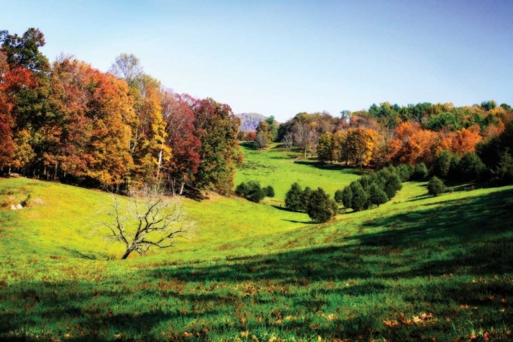 Picture of VIRGINIA HILLS I