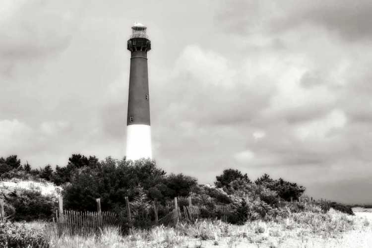 Picture of BARNEGAT BEACH II