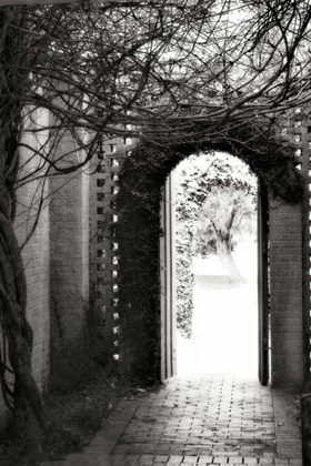 Picture of BROOKGREEN DOORWAY I