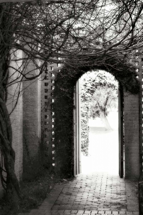 Picture of BROOKGREEN DOORWAY I