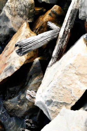 Picture of ROCKS AND WOOD I
