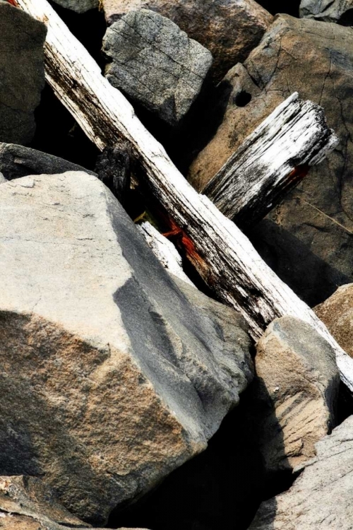 Picture of ROCKS AND WOOD II