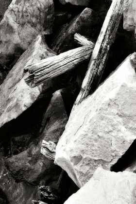 Picture of ROCKS AND WOOD I BW