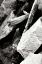 Picture of ROCKS AND WOOD I BW
