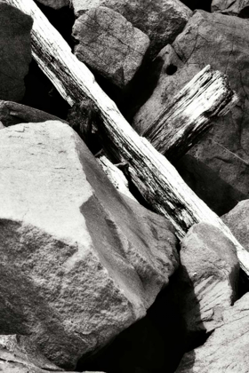 Picture of ROCKS AND WOOD II BW
