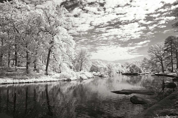 Picture of YOUNGS POND