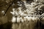 Picture of WESTHAMPTON LAKE II