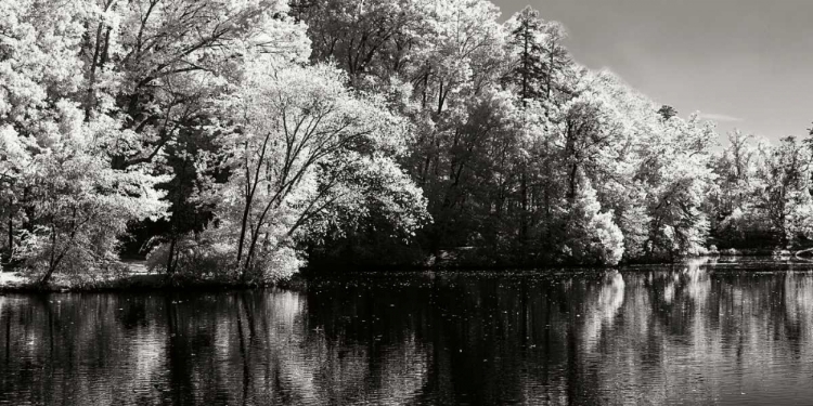 Picture of CHEROKEE LAKE II