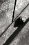 Picture of WEATHERED STEEL I