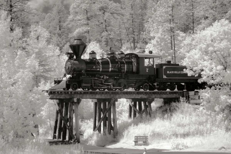 Picture of BLACK HILLS RR I