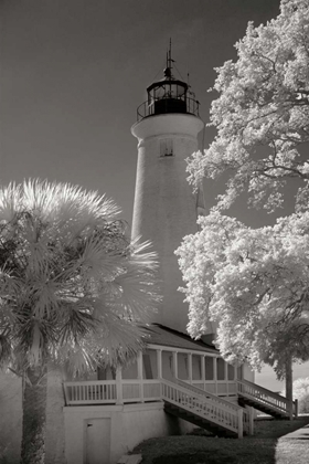 Picture of ST. MARKS LIGHTHOUSE