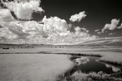 Picture of YELLOWSTONE CREEK AND CLOUDS I