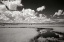 Picture of YELLOWSTONE CREEK AND CLOUDS I