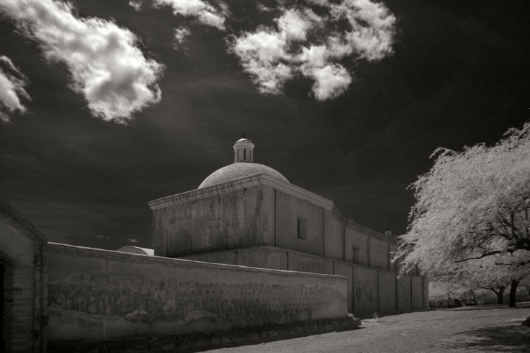 Picture of SAN JOSE DE TUMACACORI II