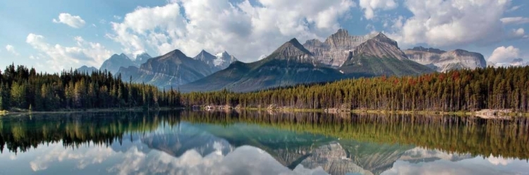 Picture of HERBERT LAKE PANORAMA