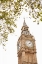 Picture of BIG BEN IX