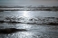 Picture of GOLDEN OCEAN I