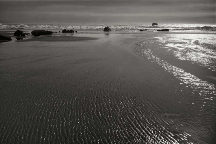 Picture of SEASHORE SERENITY III BW