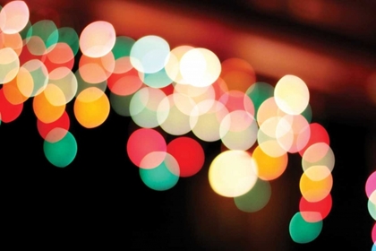 Picture of BOKEH I