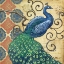 Picture of PEACOCKS SPLENDOR I