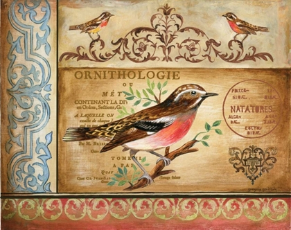 Picture of ORNITHOLOGY