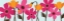 Picture of SPRING BOUQUET PANEL II