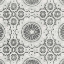 Picture of ELEGANCE IN GRAY I