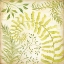 Picture of FERN BOTANICAL II