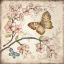 Picture of LE JARDIN BUTTERFLY II