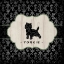 Picture of TOP DOG II