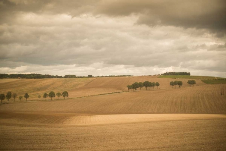 Picture of FRENCH COUNTRYSIDE I