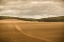 Picture of FRENCH COUNTRYSIDE II