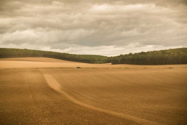 Picture of FRENCH COUNTRYSIDE II